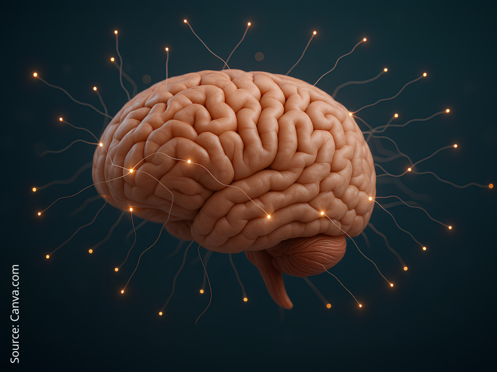 an illustration of a brain with glowing spots